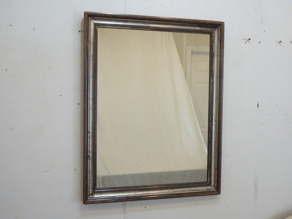 Silverleafed Mirror
